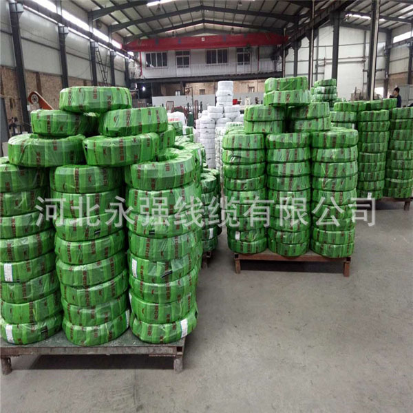 3955386521_1697638087.jpg 3955386521_1697638087.jpg