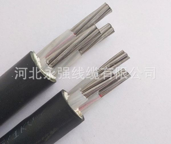 10948392279_1697638087.jpg 10948392279_1697638087.jpg