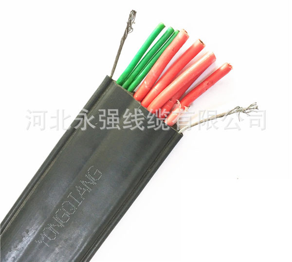 4314950739_1697638087.jpg 4314950739_1697638087.jpg