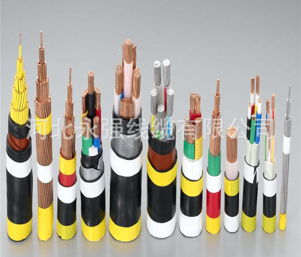 3955276097_1697638087.jpg 3955276097_1697638087.jpg